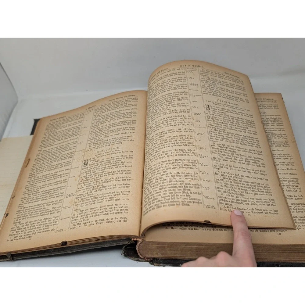 Antique German Holy‎ Bible 1891 A. J. Holman's Co. Philadelphia Illustrated VTG